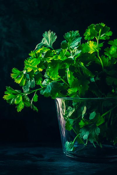 Koriander in Glas von Poster Art Shop