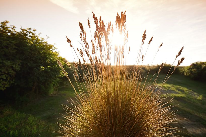 Küste von Bo Valentino