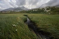 Aufgeladen, wenn die Sonne untergeht