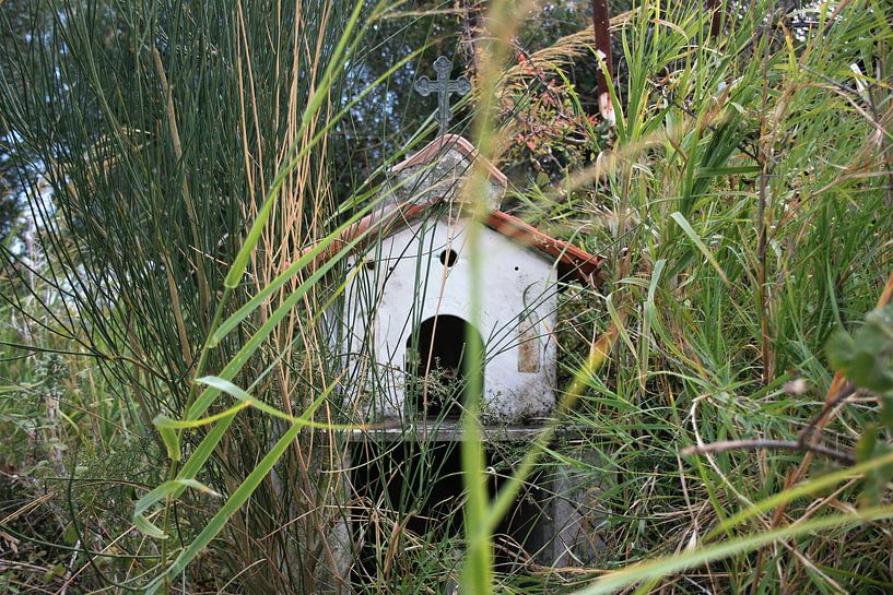 Hidden cottage by Floortje Mink
