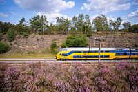 A double-decker train along the heathland at Assel Station