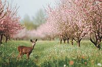 Spring into Awakening