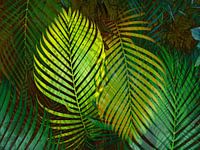 TROPICAL GREENERY LEAVES 