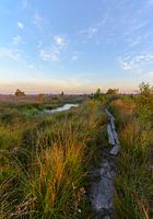 Fußweg Fochteloërveen