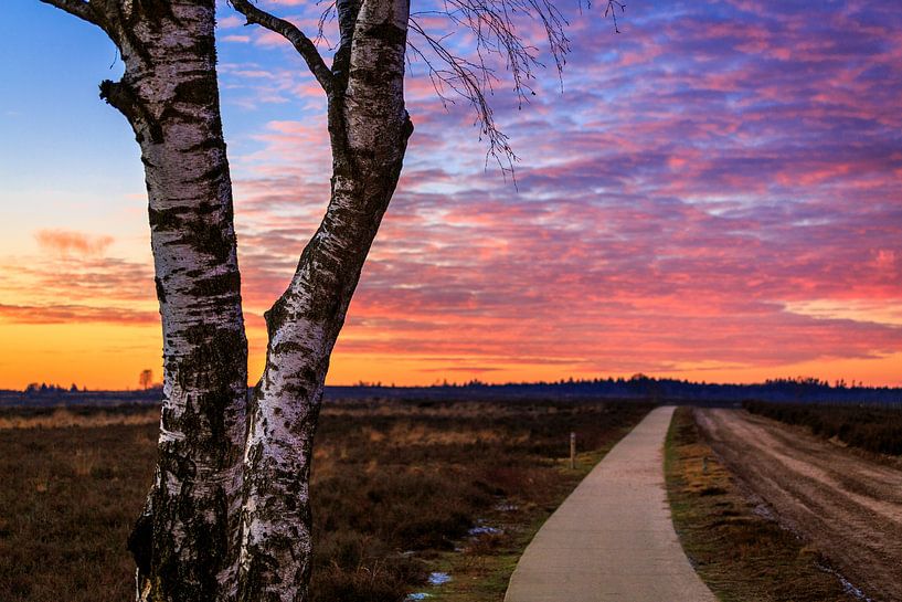 La lande de Ginkel - La route du coucher de soleil par Joram Janssen