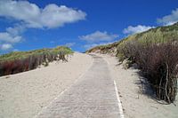 Une promenade sur les dunes de Langeoog