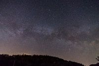 Deutschland, Sternenfeld der Milchstraßengalaxie Kern über Waldsilhouette
