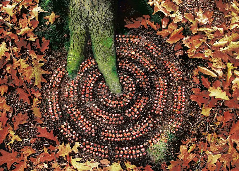 Wurzel-Welligkeiten von Mies Heerma