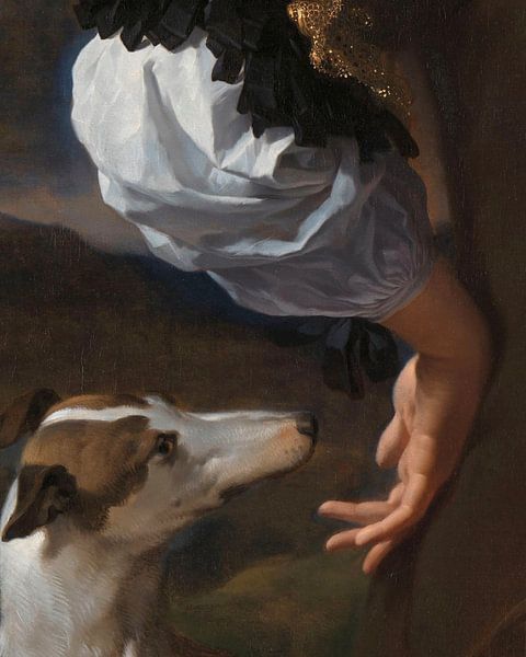 Curious Nose by The New Classics