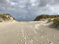 After rain comes sunshine