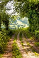 View on a country road through the hills of South Limburg