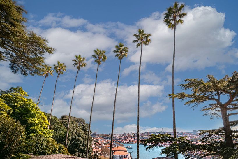 Atemberaubende Aussicht auf den Fluss Doura Porto (Portugal) von Patrick Löbler
