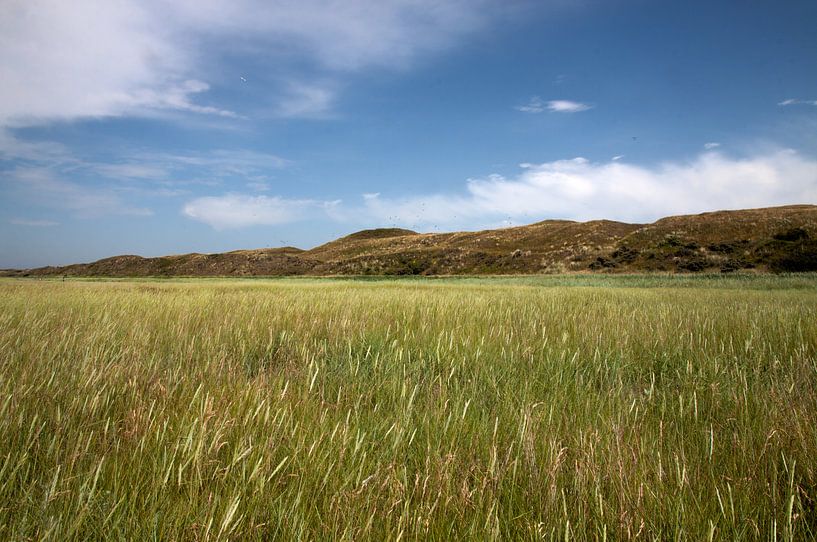 Der Slufter, Texel von Nynke Altenburg
