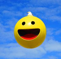 Die Ruhe der Möwe (Strand von Ostende)