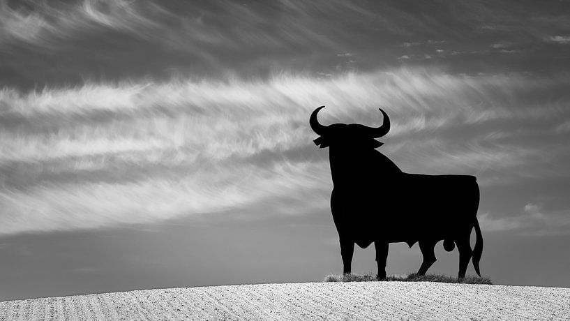 Le taureau d'Osborne en noir et blanc par Henk Meijer Photography