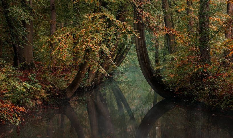 Warme Herbstfarben mit Wasser von René Vierhuis