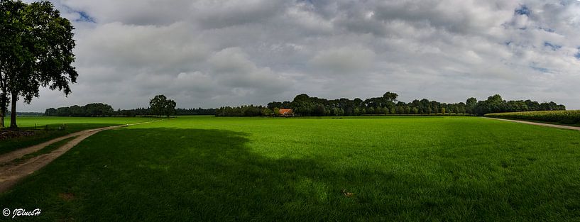 Panorama  von Jan Beukema