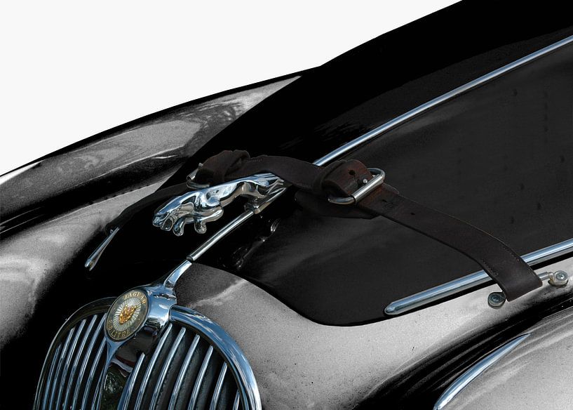 Jaguar Mark II &amp; Leaper von aRi F. Huber