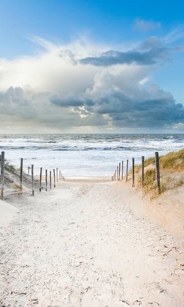 ausblasen2 von Arjan van Duijvenboden