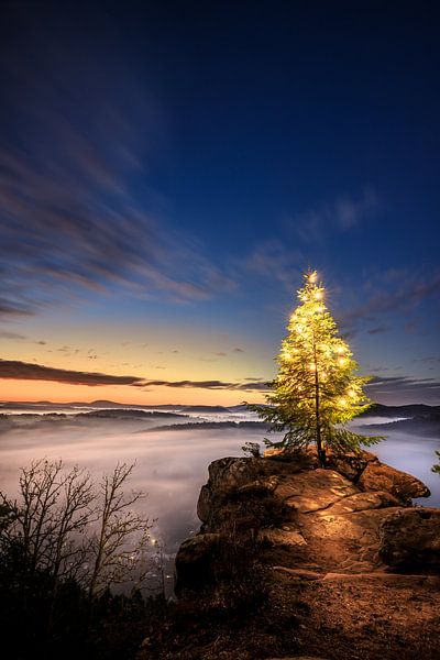Sapin, arbre de Noël sur un rocher le matin par Fotos by Jan Wehnert