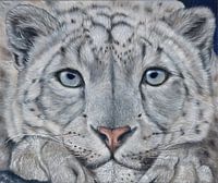 Keep Looking - Oilpainting