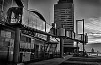 Rotterdam, terminal de croisière à Kop van Zuid