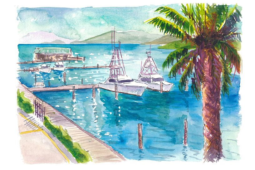 Harbour scene in Red Hook St. Thomas US Virgin Islands by Markus Bleichner
