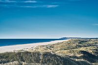 La baie de Jammer en été
