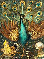 Peacock