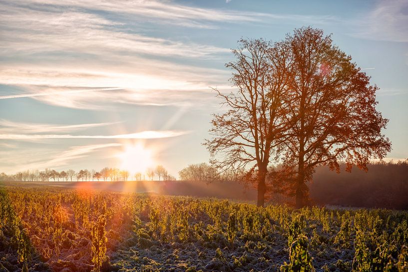 Landschaft bei Sonnenaufgang von Carola Schellekens