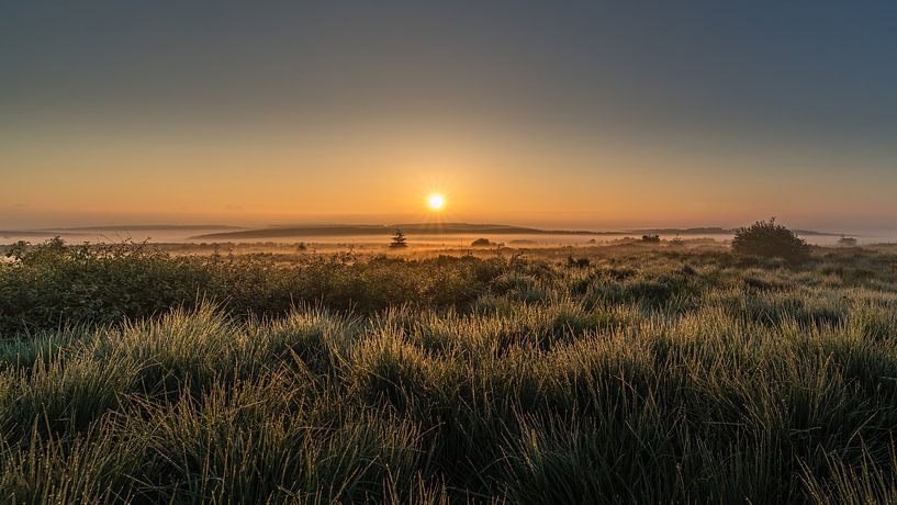 Lever de soleil dans les Hautes Fagnes par Koos SOHNS   (KoSoZu-Photography)