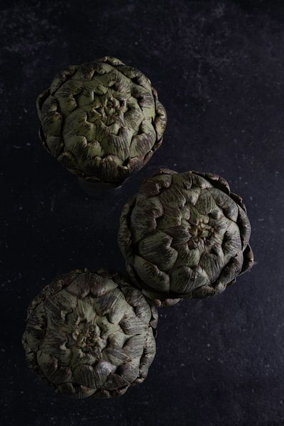 Artischocken von Blackbird PhotoGrafie