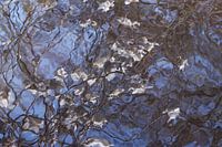 Luftspiegelung im Wasser