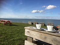 Op een zonnige dag in februari 