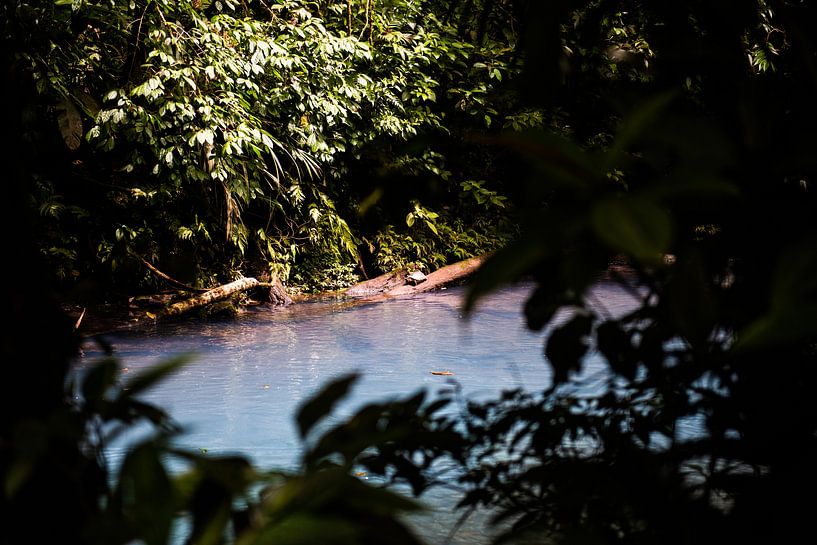 Costa Rica, Tortue par Sander Verhoeven
