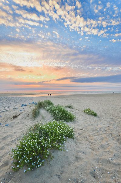 Fern und Nah (im Hochformat) von Peter van Rijn