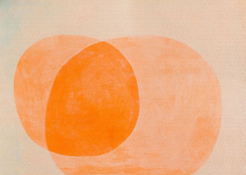 Absorbieren von Fernando Vieira