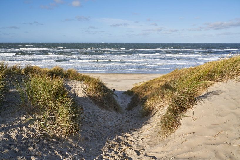 Düneneingang zum Strand auf Texel von Lisanne Storm