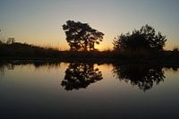 Coucher de soleil à Groote Peel