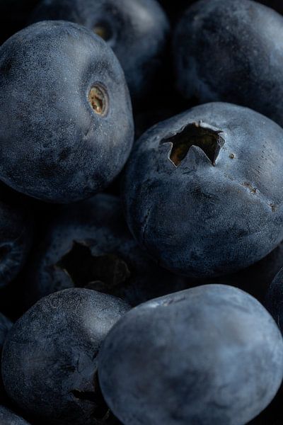 Blueberries by Cees Mooijekind