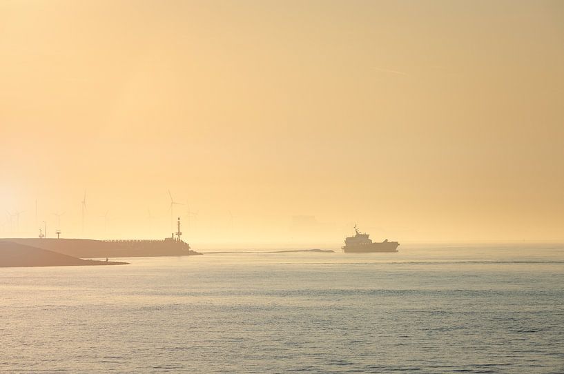 Matin doré par PJM Captures