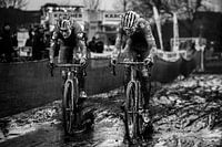 Cyclocross van der Poel und van Aert