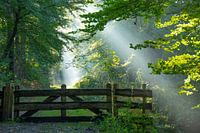 When the sun comes up