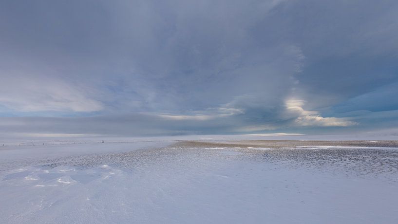 Groots von Frits Hendriks