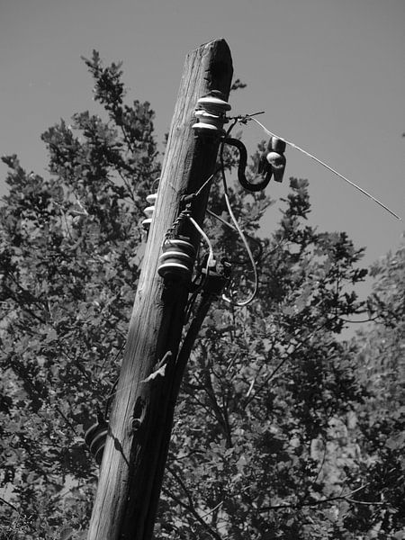 Old electricity pole in the middle of nature by Annie Lausberg-Pater