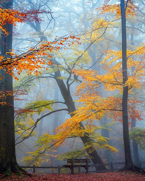 Nehmen Sie Platz und genießen Sie von Lars van de Goor