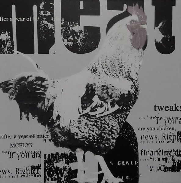 Kip krant von Muurbabbels Typographic Design