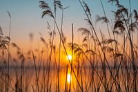 Sonnenuntergang Chiemsee
