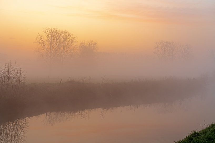 Foggy morning along the Dender by Marcel Derweduwen
