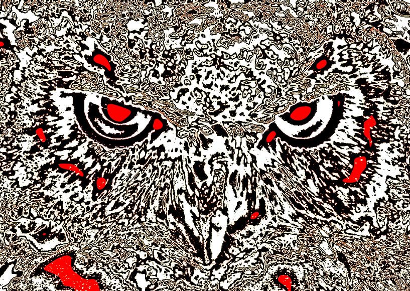 Eulengesicht #1 von Leopold Brix